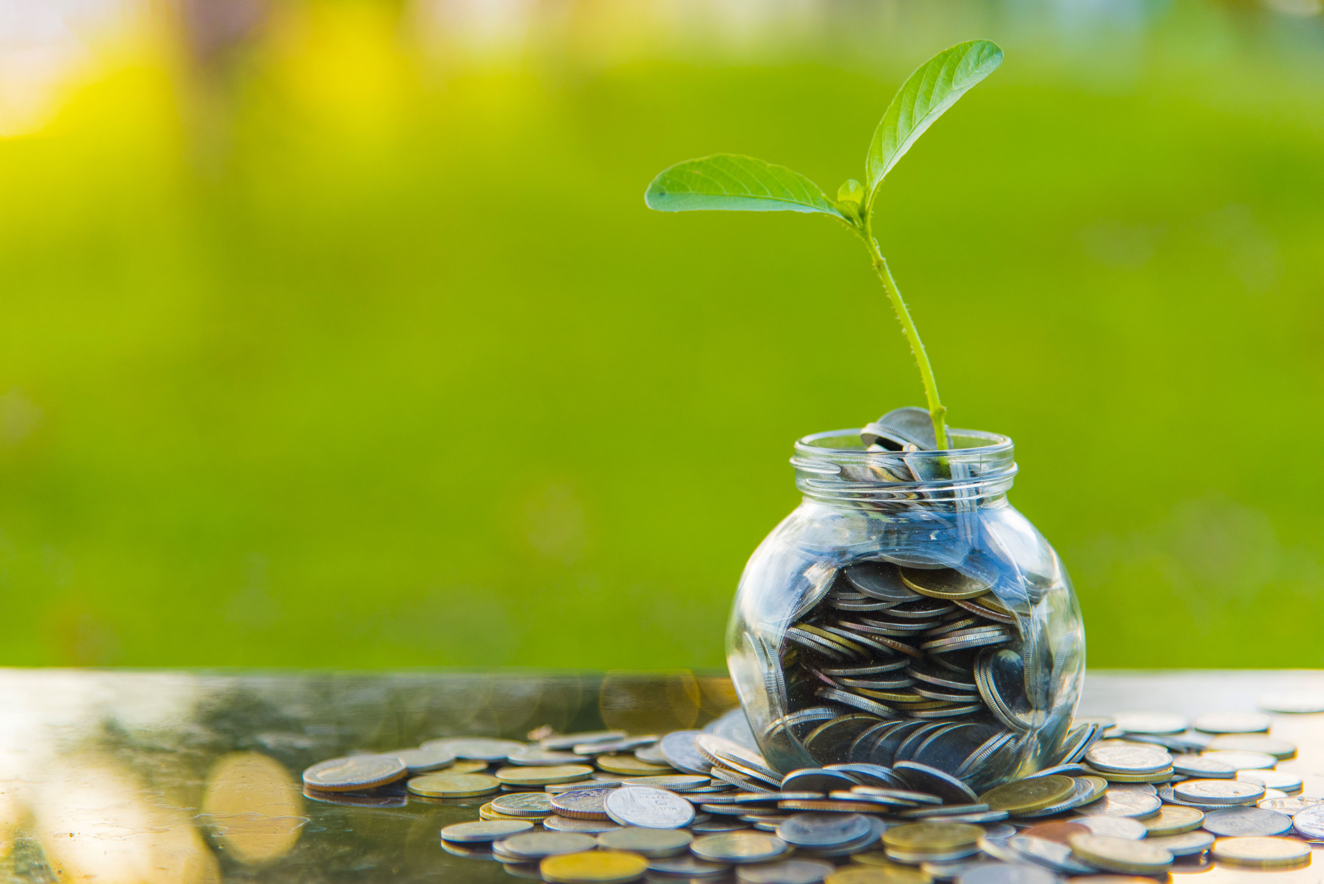 Term Life vs. Whole Life Insurance: Understanding the Difference
