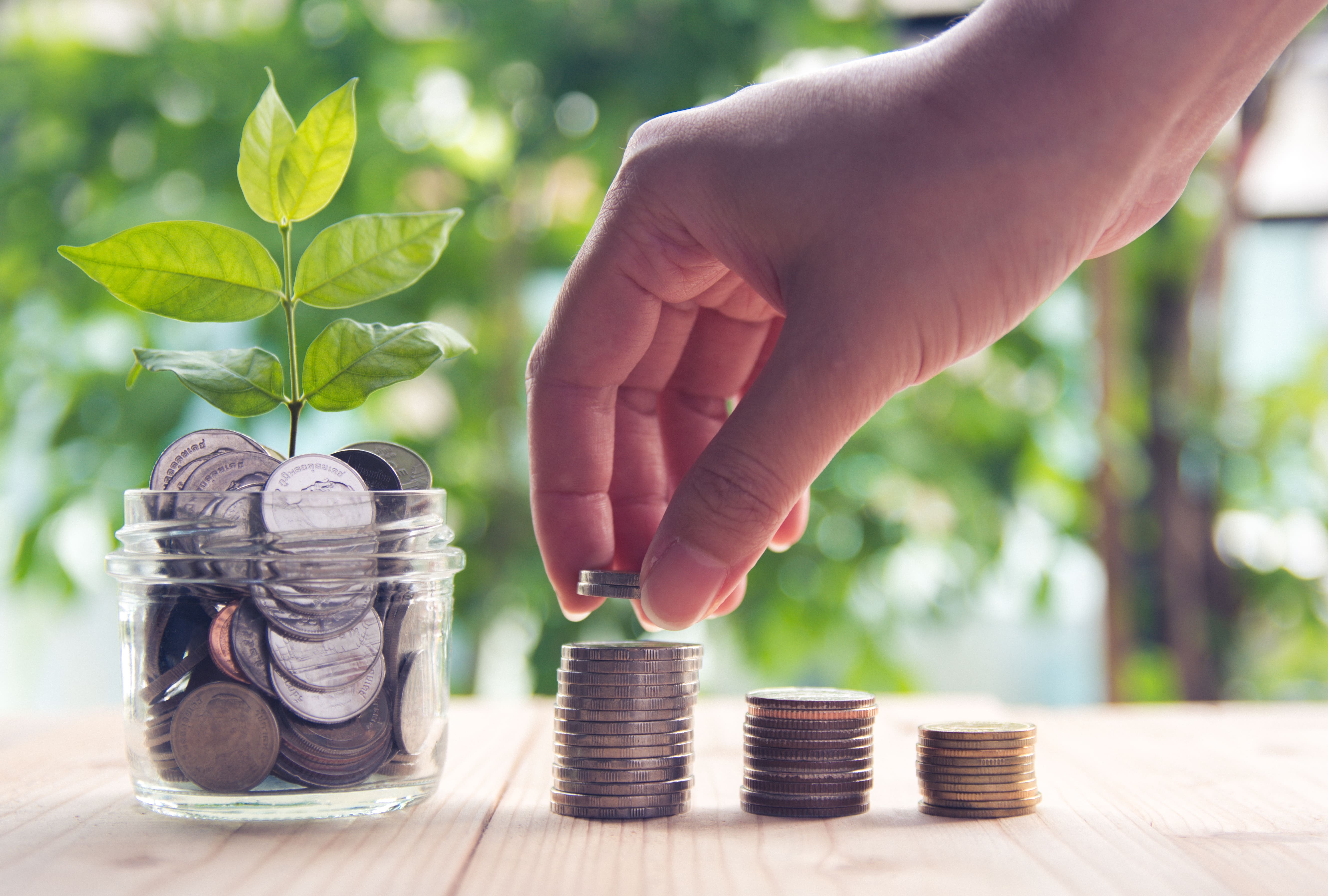 Understanding Risk and Return in Investments